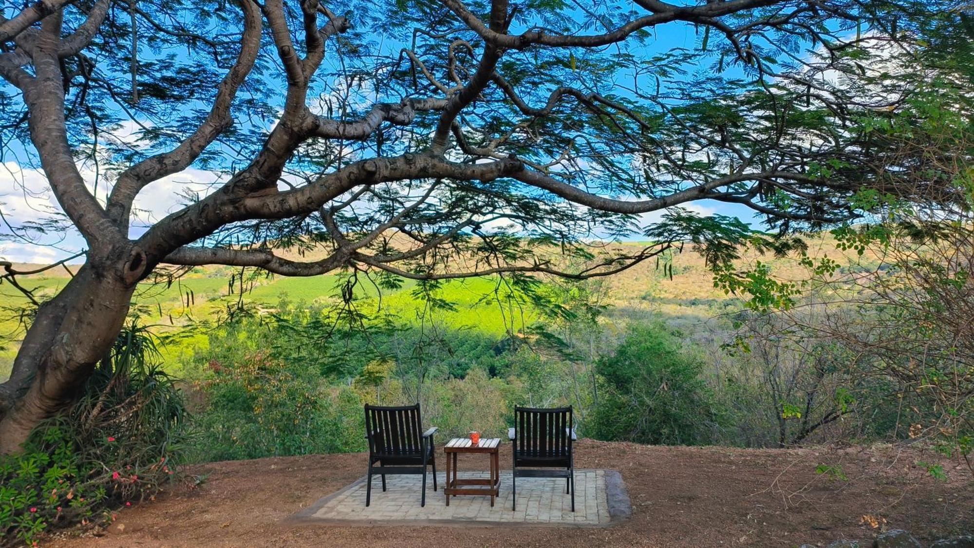 Abangane Guest Lodge Hazyview Buitenkant foto