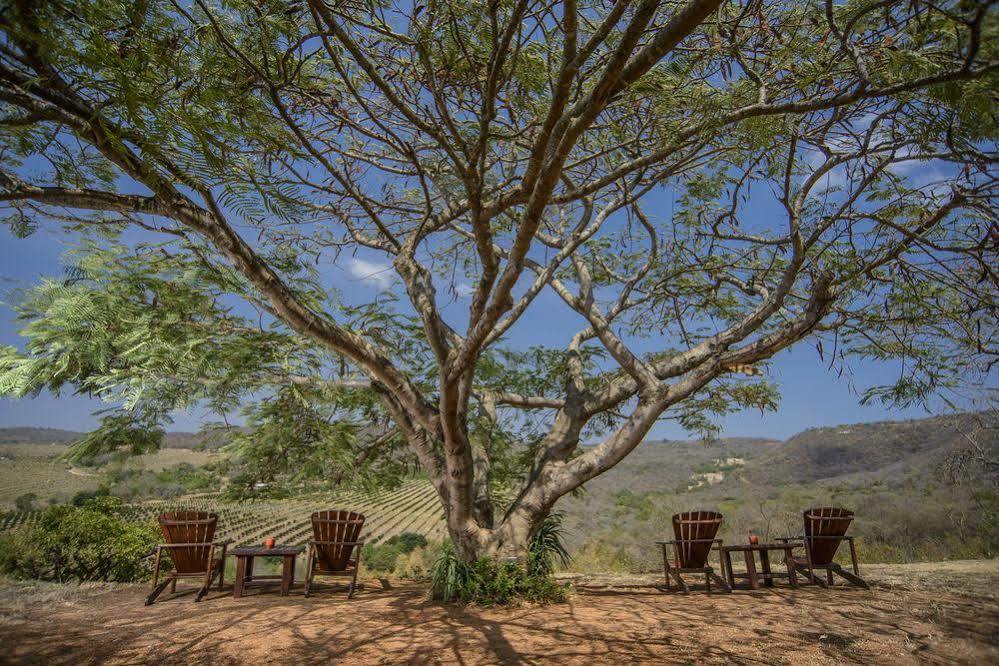 Abangane Guest Lodge Hazyview Buitenkant foto