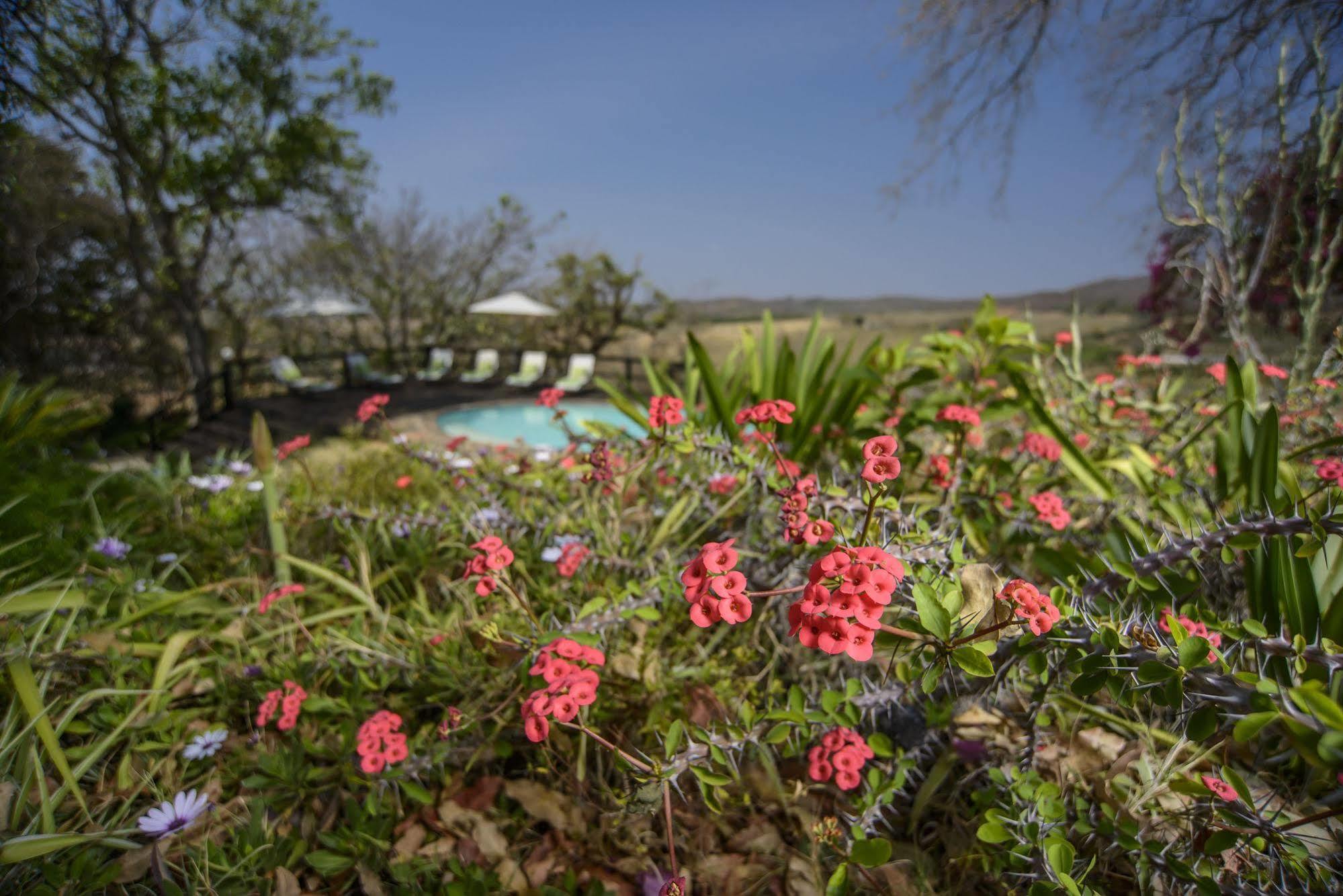 Abangane Guest Lodge Hazyview Buitenkant foto