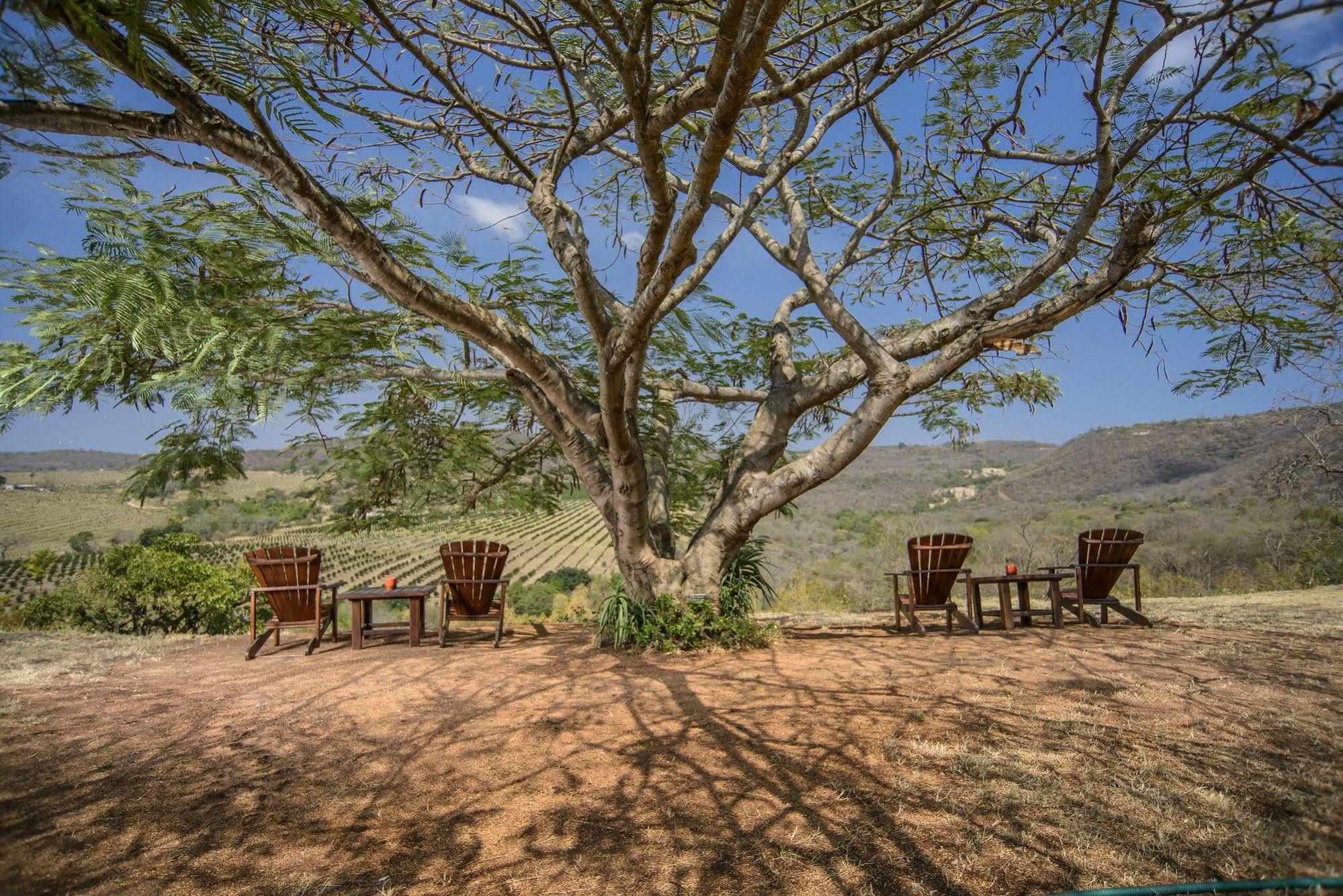 Abangane Guest Lodge Hazyview Buitenkant foto