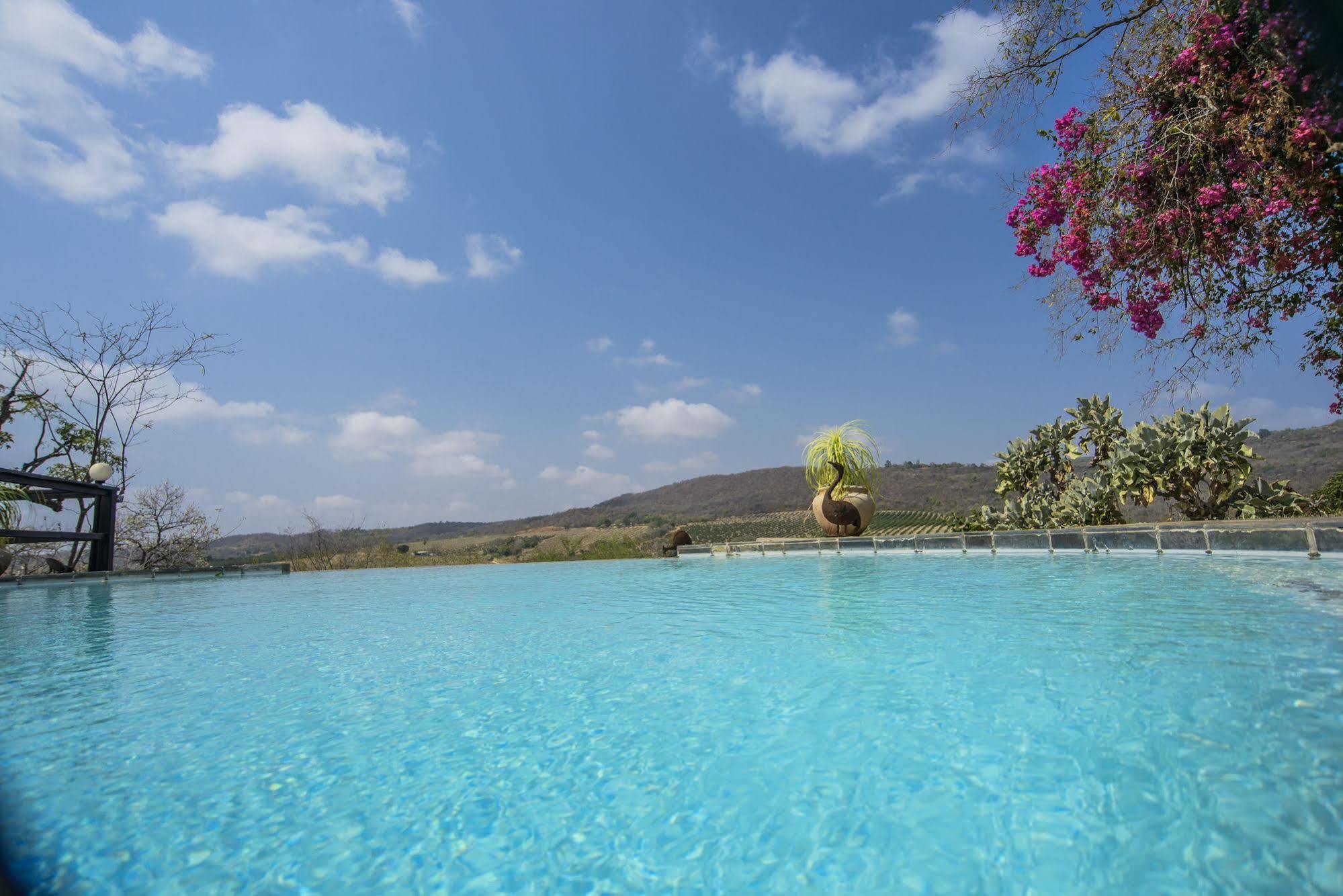 Abangane Guest Lodge Hazyview Buitenkant foto